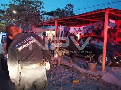 MurioLaMadreDelPatoDeGoma04