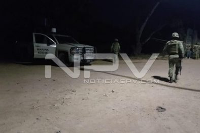 Seguridad Bahia de Banderas ·01