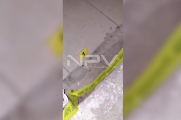 Seguridad Bahia de Banderas ·09