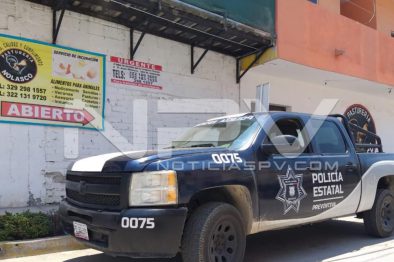 Seguridad Bahia de Banderas ·10