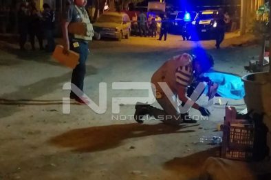 Seguridad Bahia de Banderas ·29