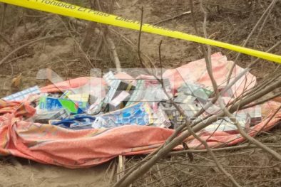 Seguridad Bahia de Banderas ·33