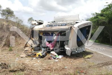 Seguridad 235