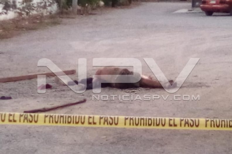 Seguridad Bahia de Banderas ·01