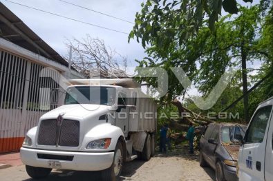 Seguridad Bahia de Banderas ·1225