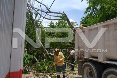 Seguridad Bahia de Banderas ·1226