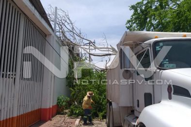 Seguridad Bahia de Banderas ·1227