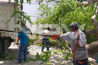 Seguridad Bahia de Banderas ·1229