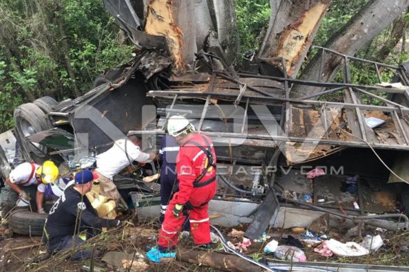Seguridad Bahia de Banderas ·1291