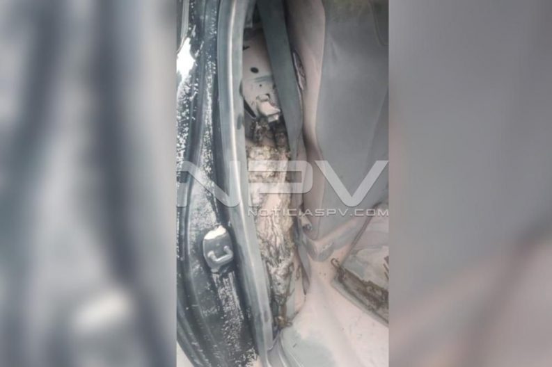 Seguridad Bahia de Banderas ·135