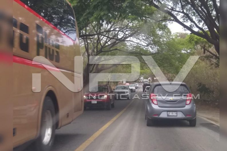 Seguridad Bahia de Banderas ·146
