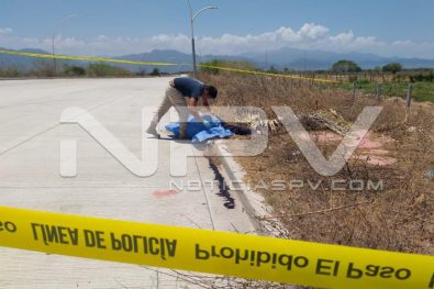 Seguridad Bahia de Banderas ·15
