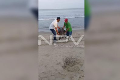 Seguridad Bahia de Banderas ·1586