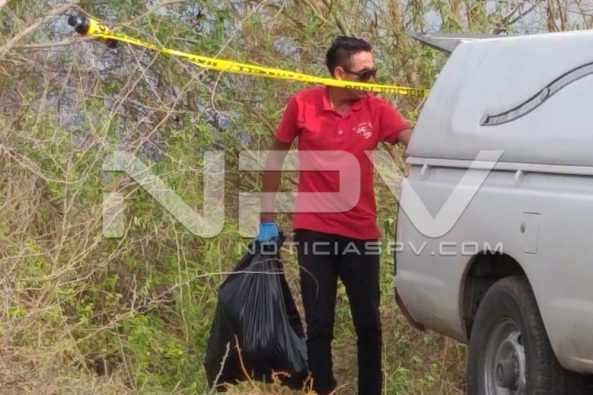 Seguridad Bahia de Banderas ·224