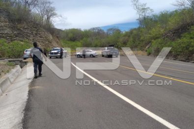 Seguridad Bahia de Banderas ·272