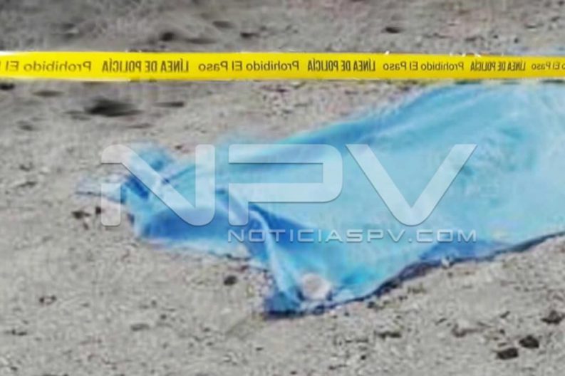 Seguridad Bahia de Banderas ·335