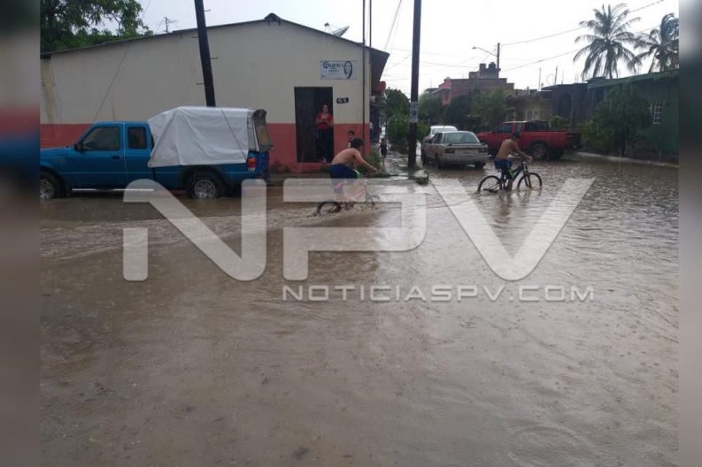 Seguridad Bahia de Banderas ·74