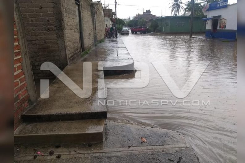 Seguridad Bahia de Banderas ·87