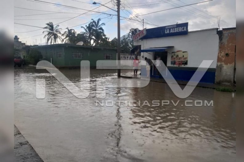 Seguridad Bahia de Banderas ·88
