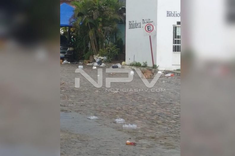 Seguridad Bahia de Banderas ·90