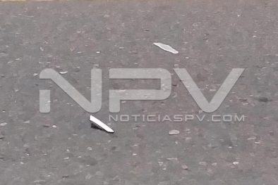 Seguridad Bahia de Banderas ·921