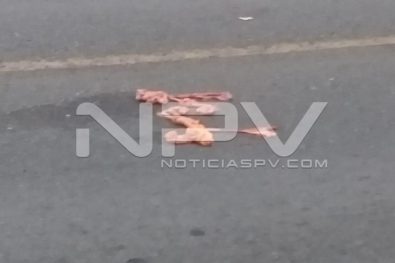 Seguridad Bahia de Banderas ·938