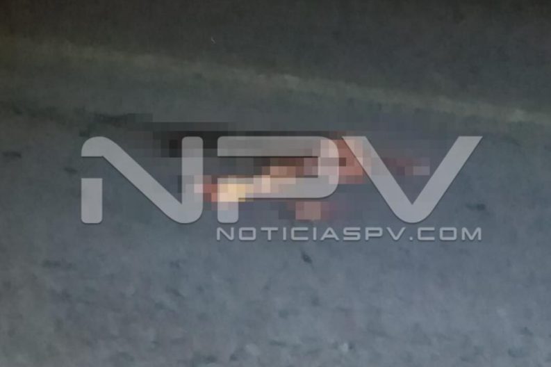 Seguridad Bahia de Banderas ·950