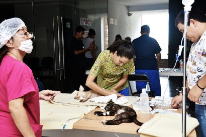 COMUNICADO 0795-Bienestar Animal (6)