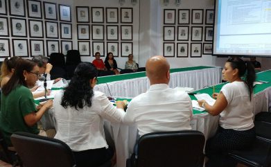 COMUNICADO 0853-Sesión comisión Igualdad de Género (5)