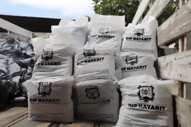 DIF BENEFICIADOS DESPENSAS (4)