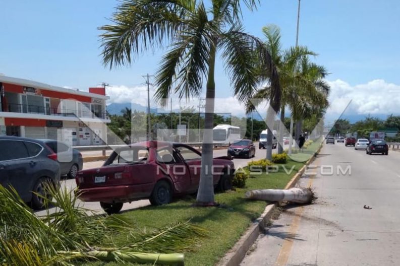Seguridad Bahia de Banderas ·1088