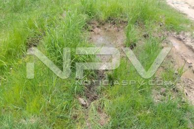 Seguridad Bahia de Banderas ·1445