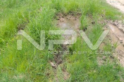 Seguridad Bahia de Banderas ·1445