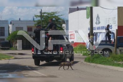 Seguridad Bahia de Banderas ·1776