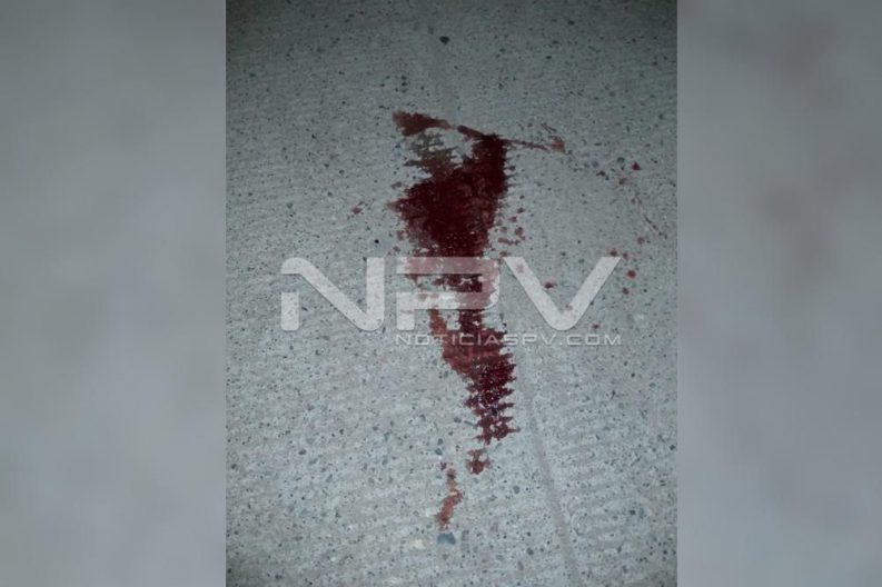 Seguridad Bahia de Banderas ·1838