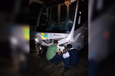 Seguridad Bahia de Banderas ·1917