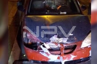 Seguridad Bahia de Banderas ·1929