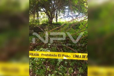 Seguridad Bahia de Banderas ·213