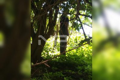 Seguridad Bahia de Banderas ·221