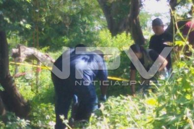 Seguridad Bahia de Banderas ·240