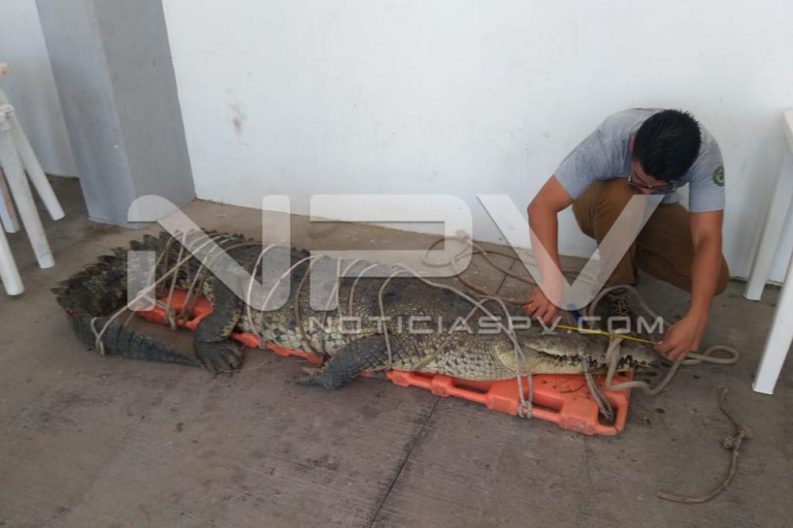 WhatsApp Image 2019-08-28 at 10.17.25 PM