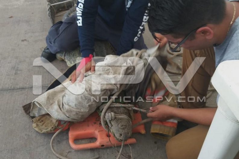 WhatsApp Image 2019-08-28 at 10.17.27 PM (4)