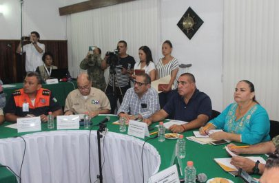 Reunión del Comité Científico de PC-monitoreo tormenta Lorena (11)