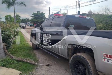 Seguridad Bahia de Banderas ·1290
