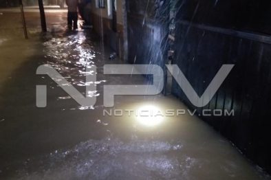 Seguridad Bahia de Banderas ·1915