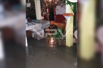 Seguridad Bahia de Banderas ·1919