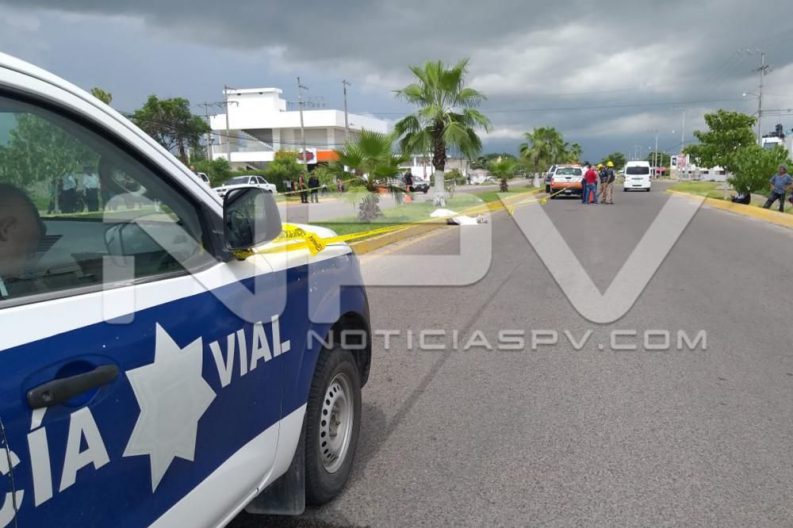 Seguridad Bahia de Banderas ·3005