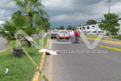 Seguridad Bahia de Banderas ·3006