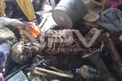 Seguridad Bahia de Banderas ·948