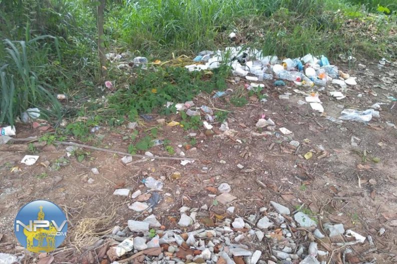 WhatsApp Image 2019-09-01 at 11.12.15 AM (1)